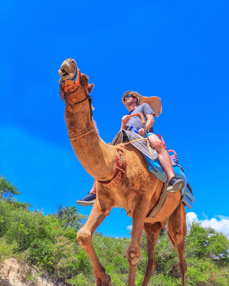 Outback Camel Safari Escapadas Por M Xico Desconocido