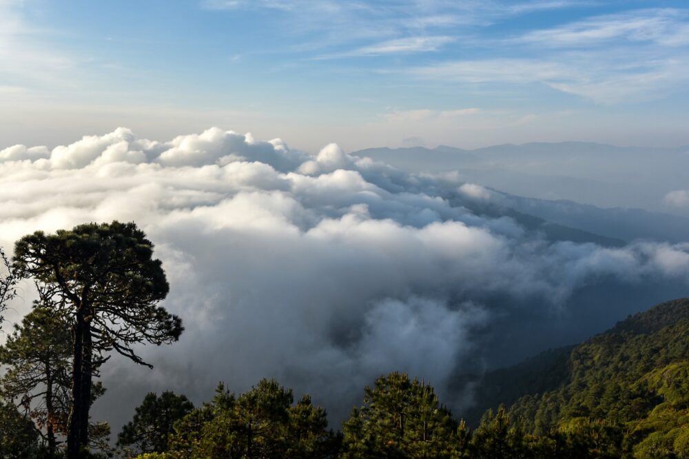 Esc Pate A La Sierra Norte El Sitio Ideal Para El Ecoturismo