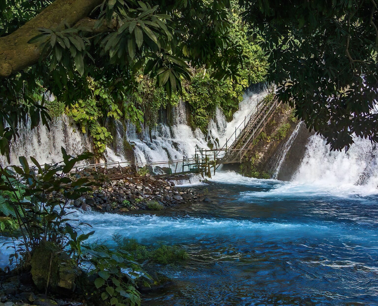 Un paraíso salvaje llamado Nace el Río Escapadas por México Desconocido