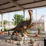 Maravíllate en el Museo de Paleontología Rincón Colorado
