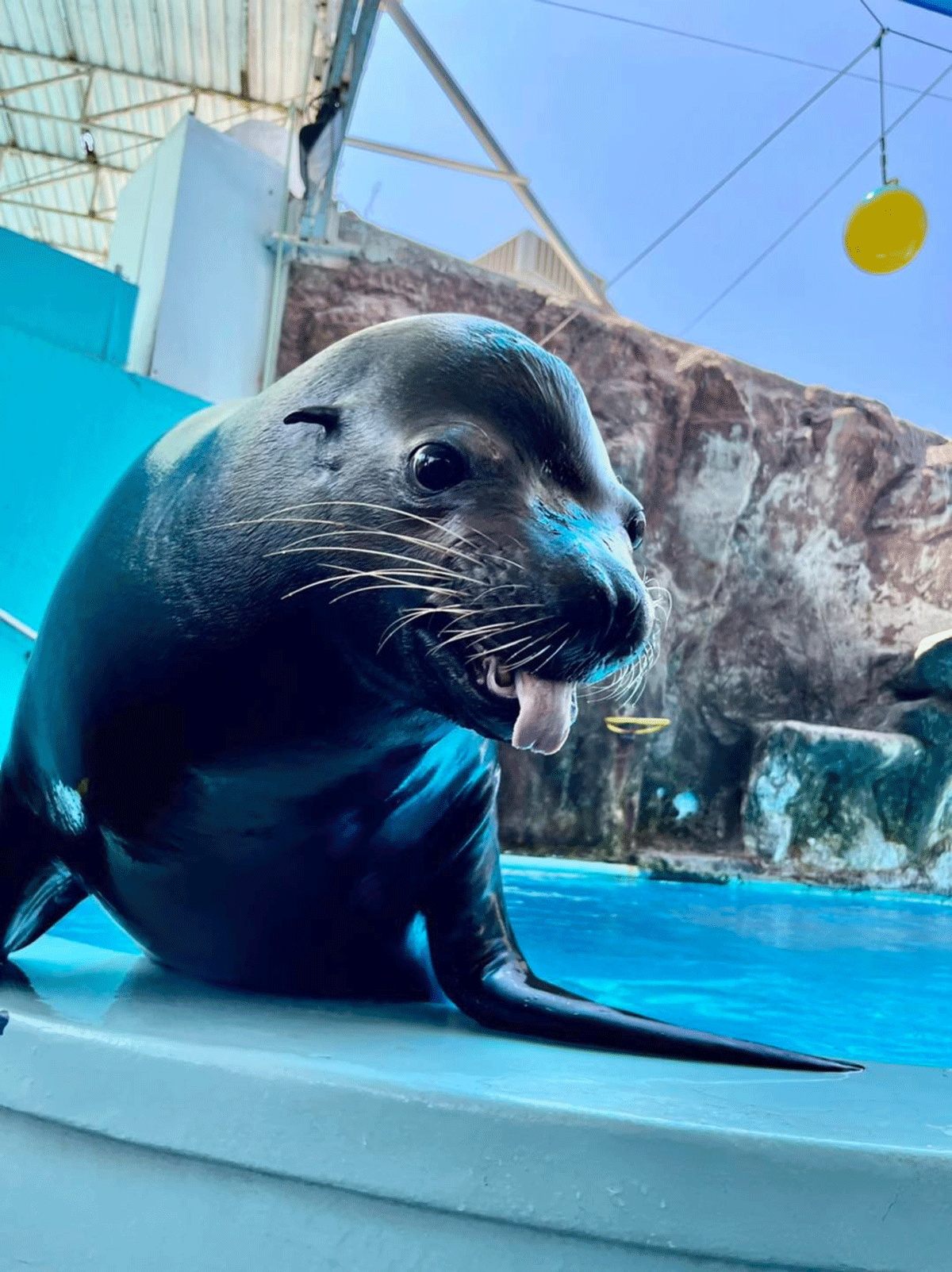 Acuario de Mazatlán - Escapadas por México Desconocido