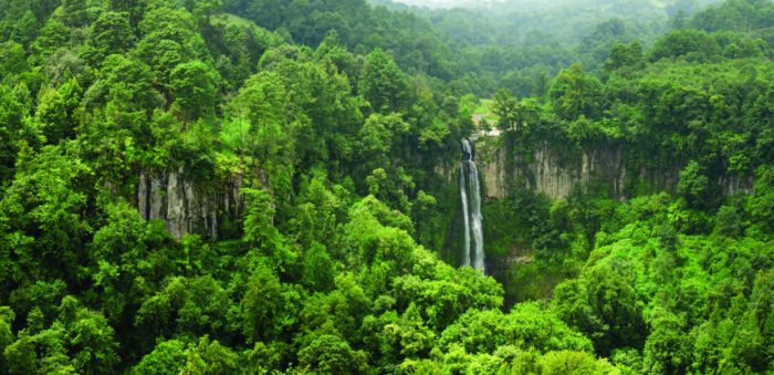 Aventúrate al sendero hacia la Cascada de Puxtla