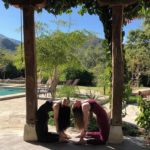 Practica Yoga en medio de la naturaleza