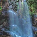 Explora la Sierra del Laurel en Rancho Ecoturístico Ciénega de los Pinos