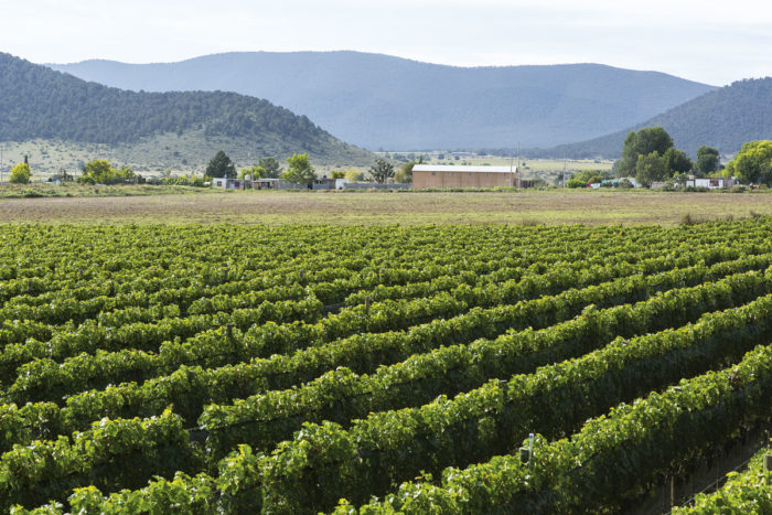 Bodegas del Viento