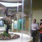Museo de las Aves