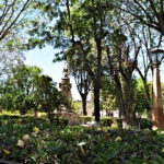 Pasea por el Jardín Hidalgo