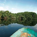 Embárcate y explora manglares