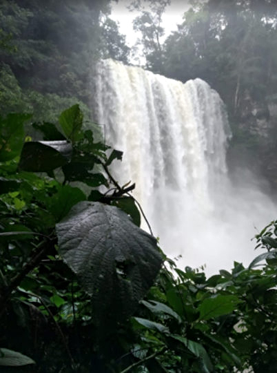 Tour zona arqueológica de Palenque, cascadas de Agua Azul y Misol-Ha