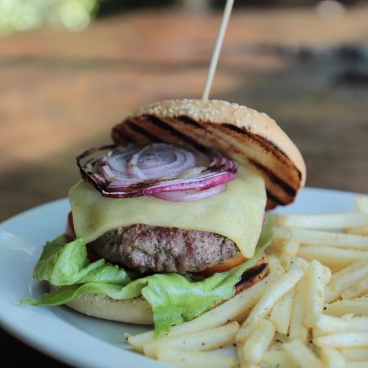 Ocean grill PV-restaurante-Puerto vallarta-Jalisco-hamburguesa
