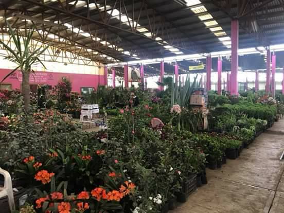 Puebla-tenango_mercado-de-flores