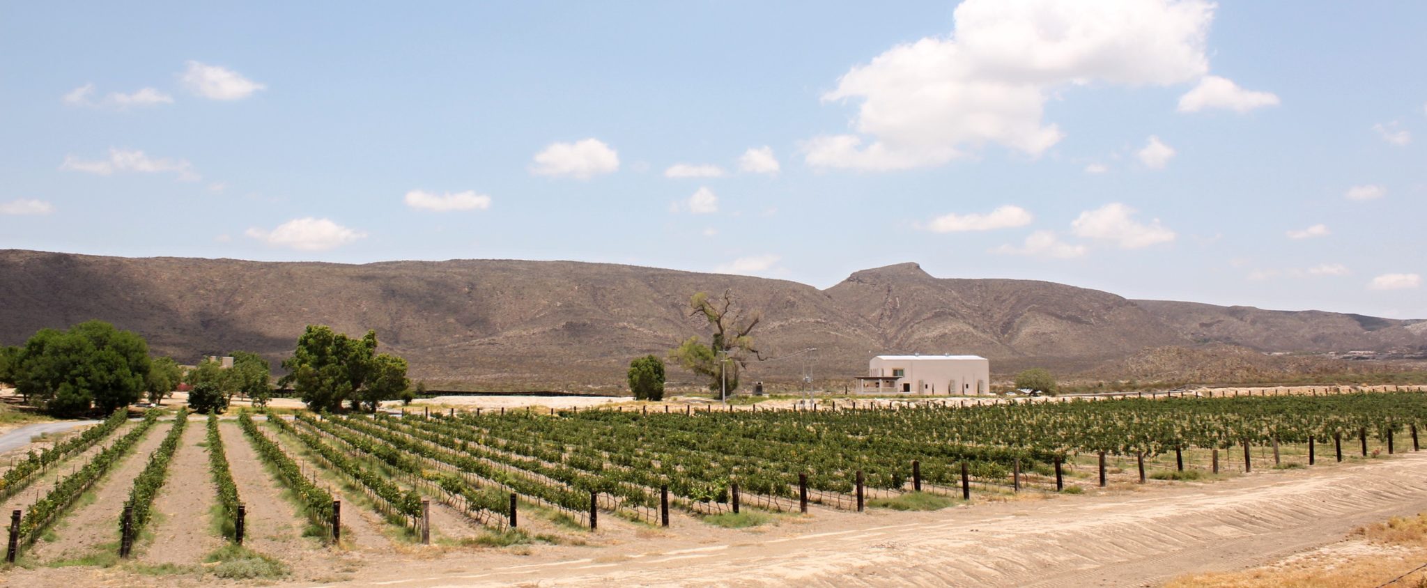 barro-viejo-escapadas-por-m-xico-desconocido