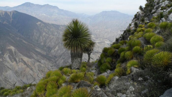 Parque Nacional los Mármoles