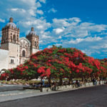 Ex Convento de Santo Domingo de Guzmán Oaxaca