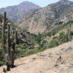 Santuario de los Cactus en La Paz