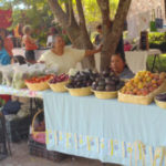 Mercados orgánicos de San Miguel