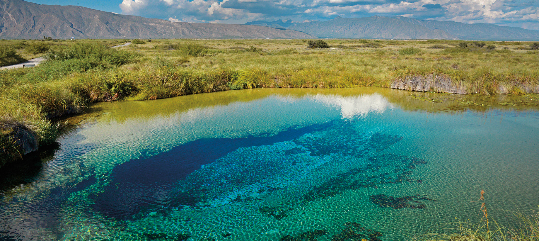 Posa Azul-Cuatro Ciénegas-Coahuila