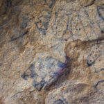 Pinturas rupestres en Valle Chico