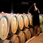 Aprende sobre la producción de vinos en Alximia