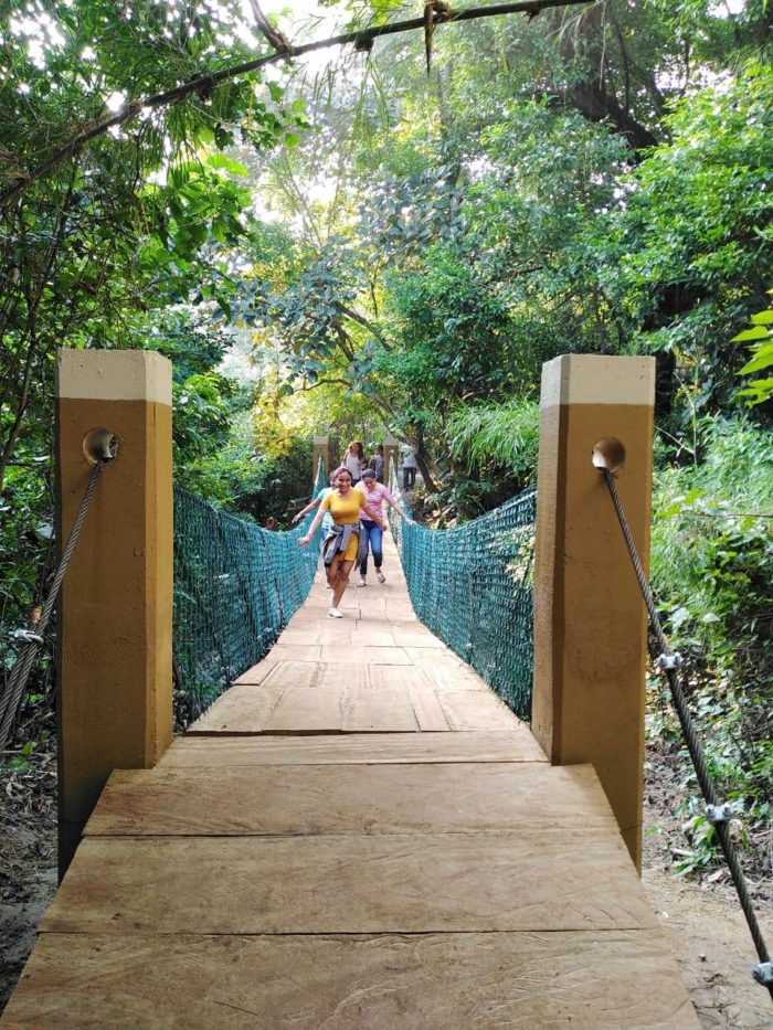Parque ecologico Jaguaroundi-puente