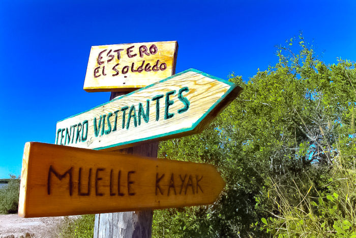 Estero-del-Soldado-San Carlos-Guaymas-Sonora-flechas