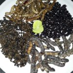 Restaurante_Itandehui_flor_de_mayo_mixto de insectos_zapotitlan_Puebla