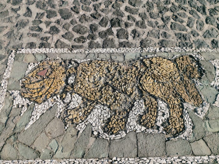 Jaguar-roca-colores-Taxco-Tlahuicas