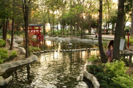 ¿Un jardín japonés en CDMX? La historia del Parque Masayoshi Ohira