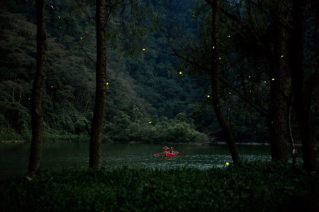 Avistamiento de luciérnagas desde el agua: una experiencia única en México
