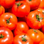 feria del tomate nativo y ancestral