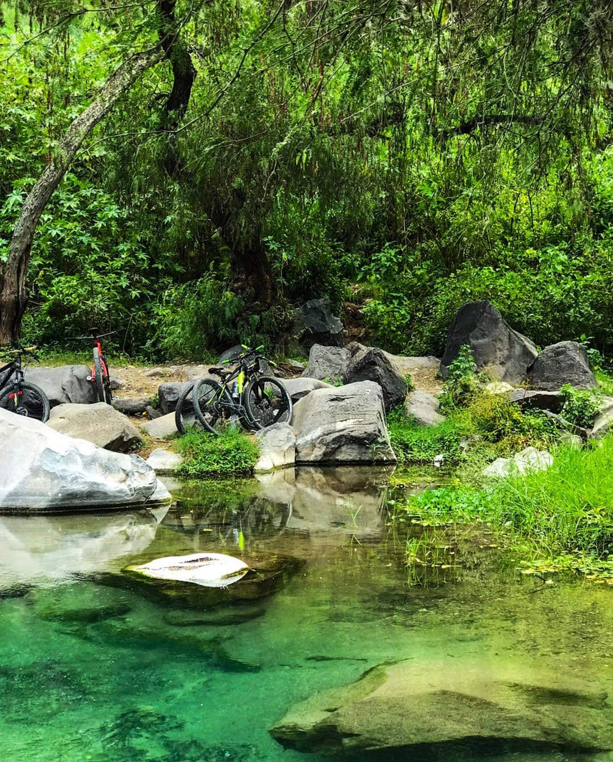 Rodada en el Parque Ecoturístico El Río - Escapadas por México Desconocido