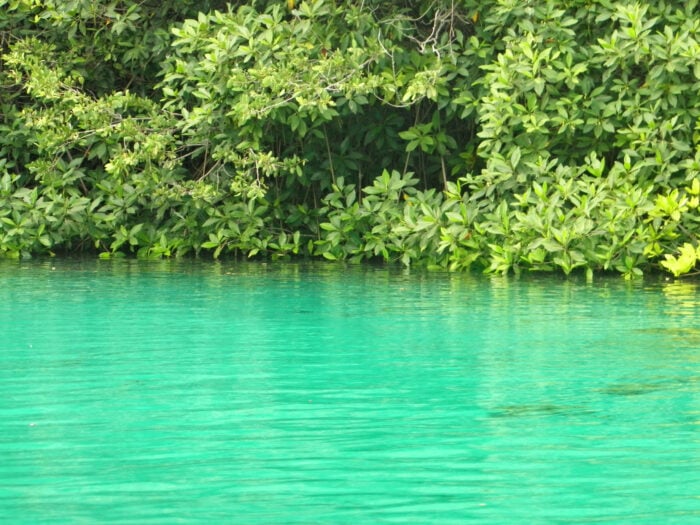 8 lugares salvajes para nadar. ¡Viva la naturaleza!