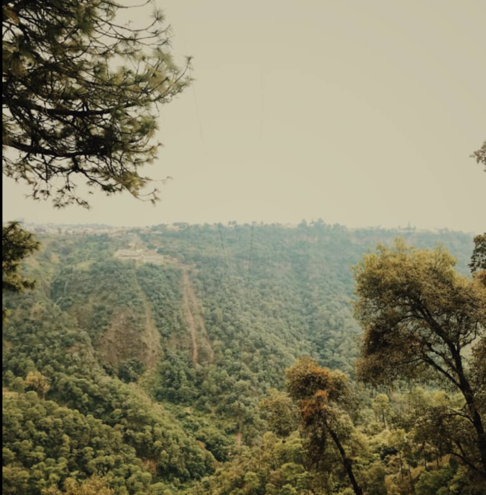 Barranca de los Jilgueros