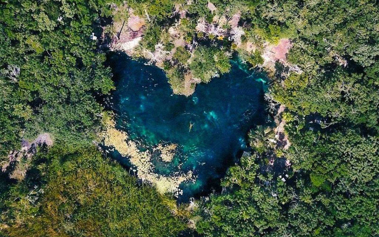 Cenote corazón del paraíso