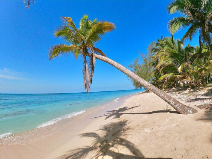 Isla Lobos, paraíso secreto de Veracruz - Escapadas por México Desconocido