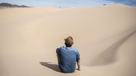 Las dunas de Algodones, suaves formaciones de arena y viento