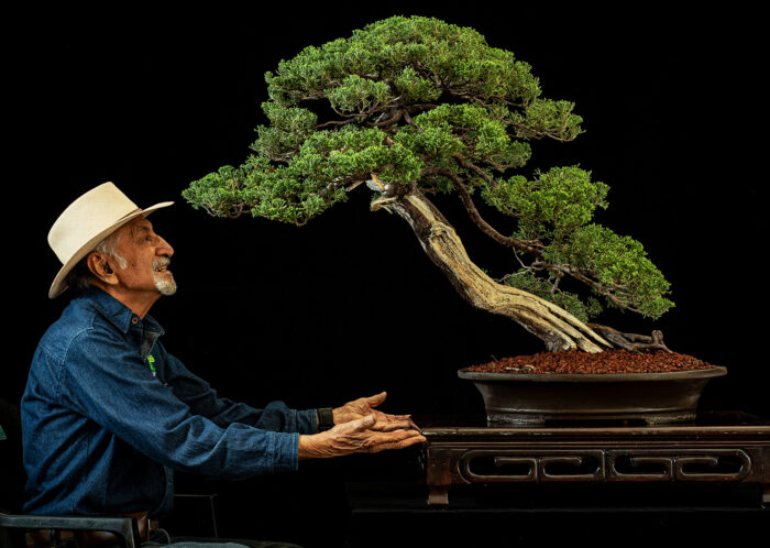 Museo de Bonsái John Naka