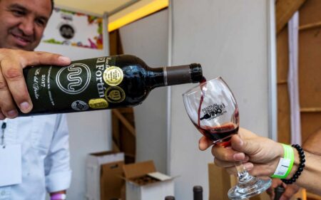 El Festival Internacional del Vino llega a San Luis