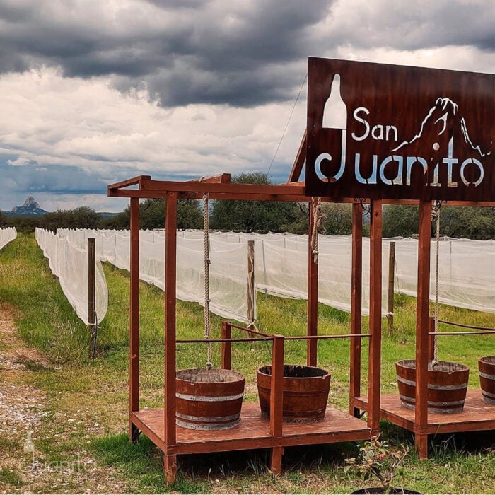 San Juanito Vitivin\u00edcola - Escapadas por M\u00e9xico Desconocido