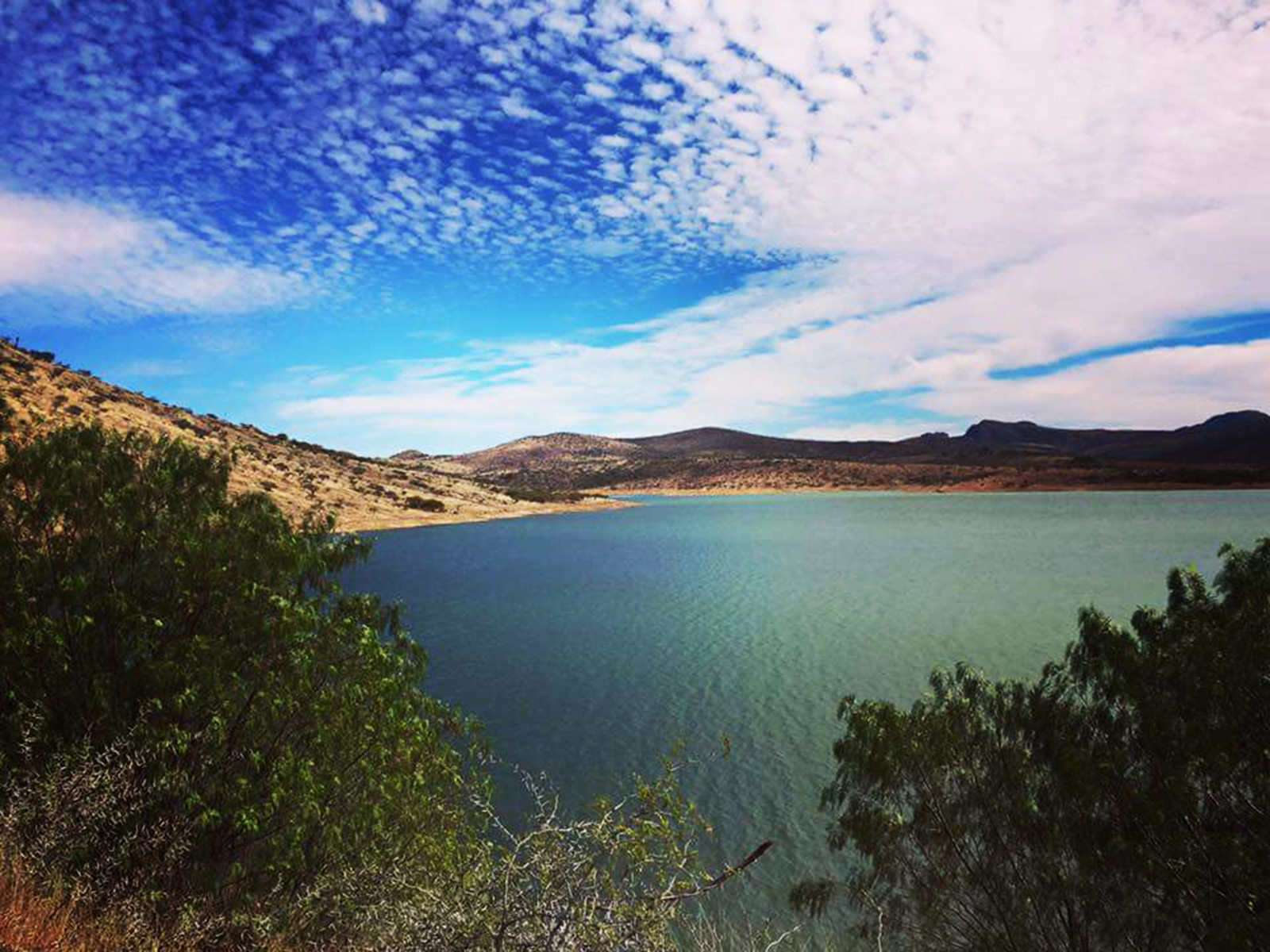 Tierra Nueva