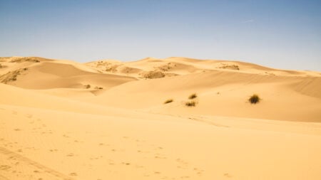 Dunas de Samalayuca, un misterioso paraíso en el desierto