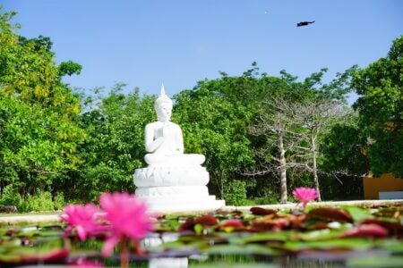 Un portal a Tailandia dentro de Yucatán