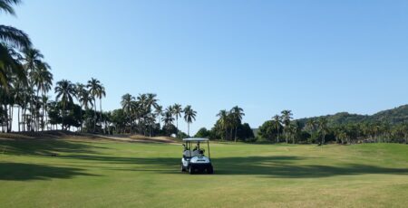 ¡Asiste al magnífico torneo de golf en Isla Navidad!