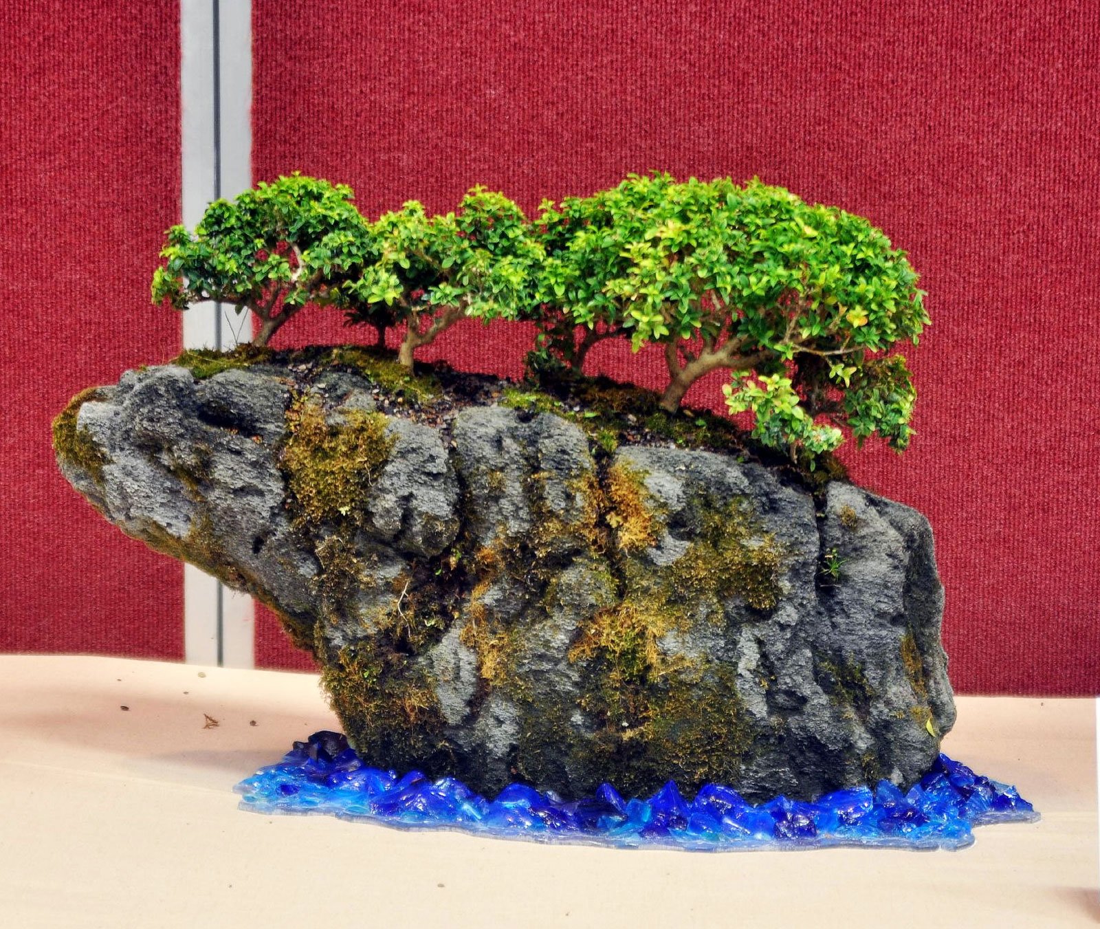 Suiseki bonsái