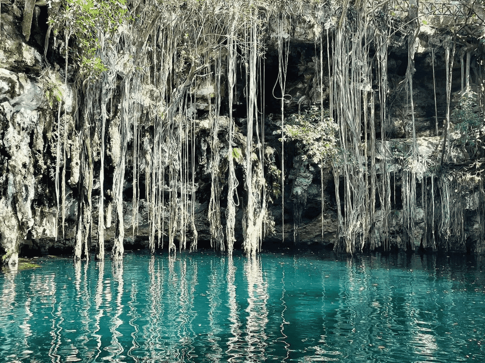 Cenote-Yokdzonot