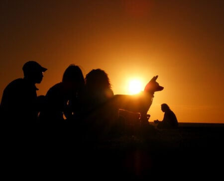 Paraísos caninos, las mejores playas ‘pet friendly’ de México