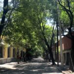 Avenida Francisco Sosa en Coyoacán