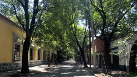 Francisco Sosa, una encantadora calle en Coyoacán para descubrir a pie