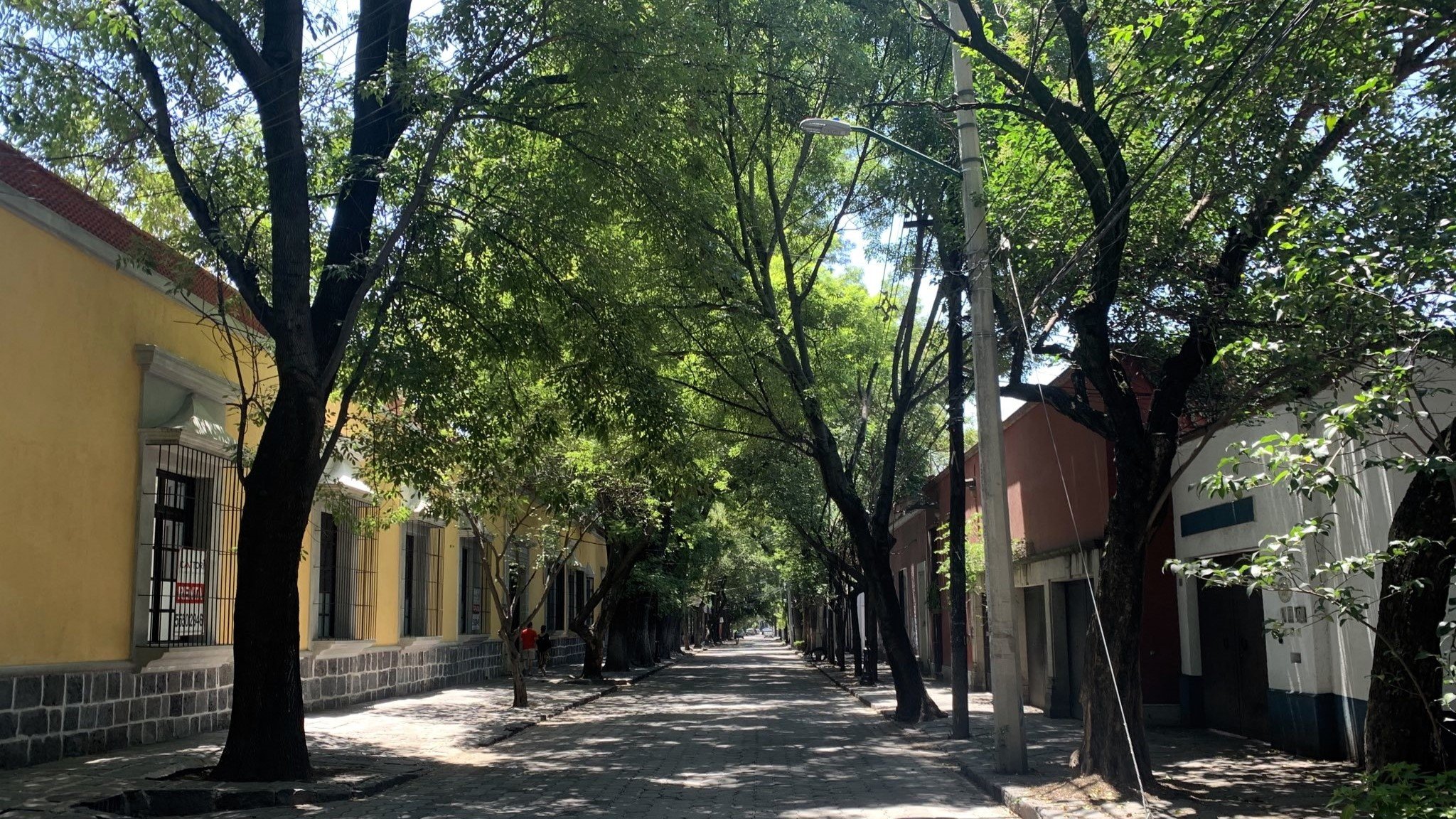Avenida Francisco Sosa en Coyoacán