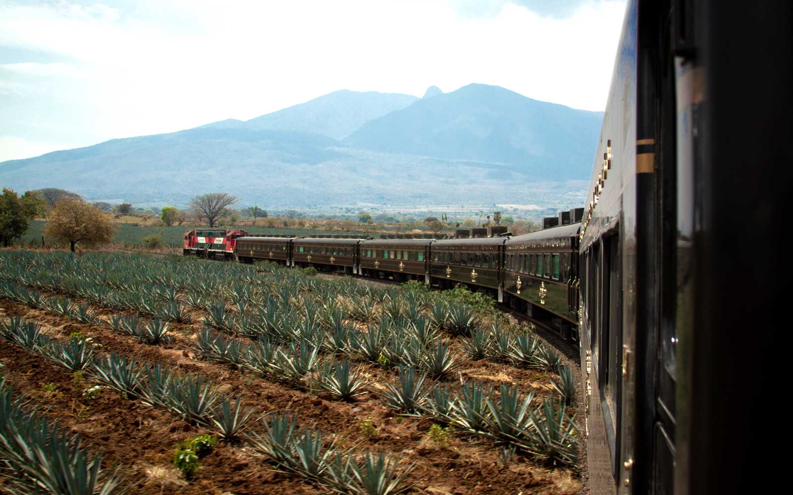 cómo llegar a Tequila